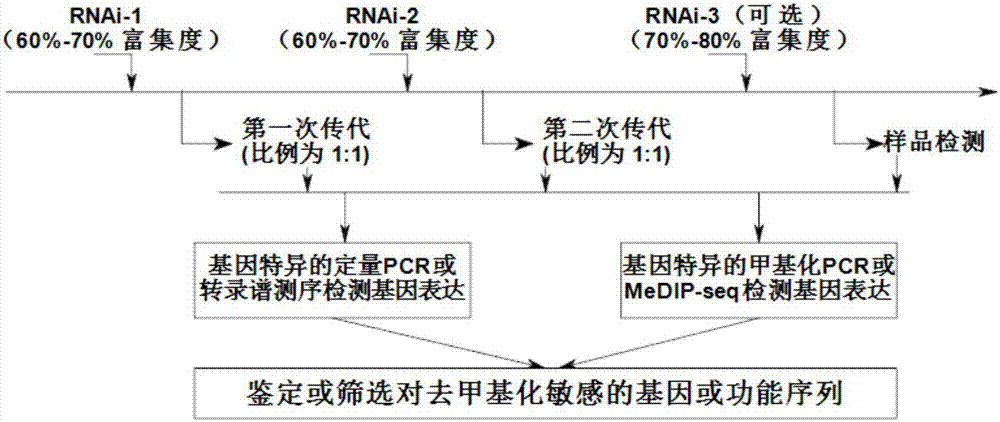 Method for screening methylation sensitive gene of DNA