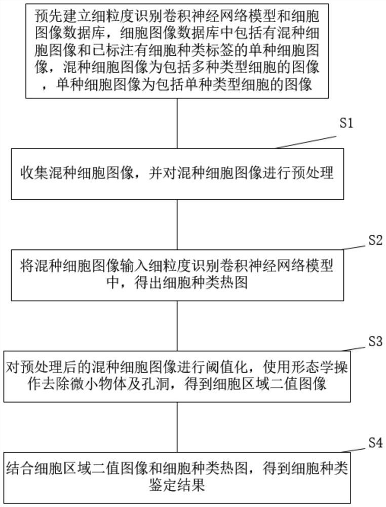 A hybrid cell type identification method based on fine-grained recognition