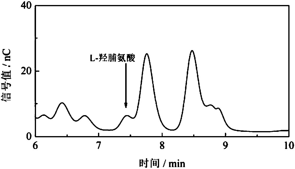 A method for rapid detection of hydroxyproline content in milk and dairy products