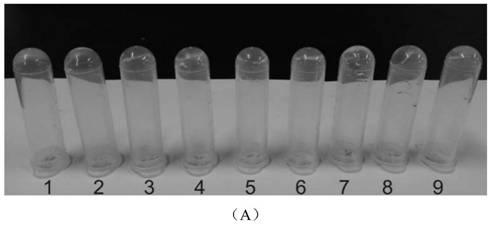 A kind of controlled release antibiotic hydrogel and its preparation method and application