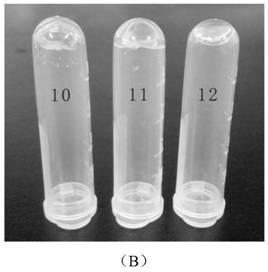 A kind of controlled release antibiotic hydrogel and its preparation method and application