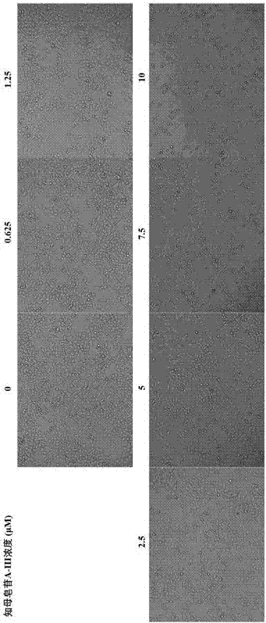 Application of timosaponin A-III in preparation of anti-human rhabdomyosarcoma drug