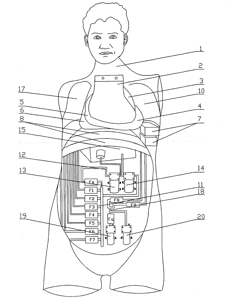 Full-automatic cardiopulmonary percussion computer anthropomorphic dummy