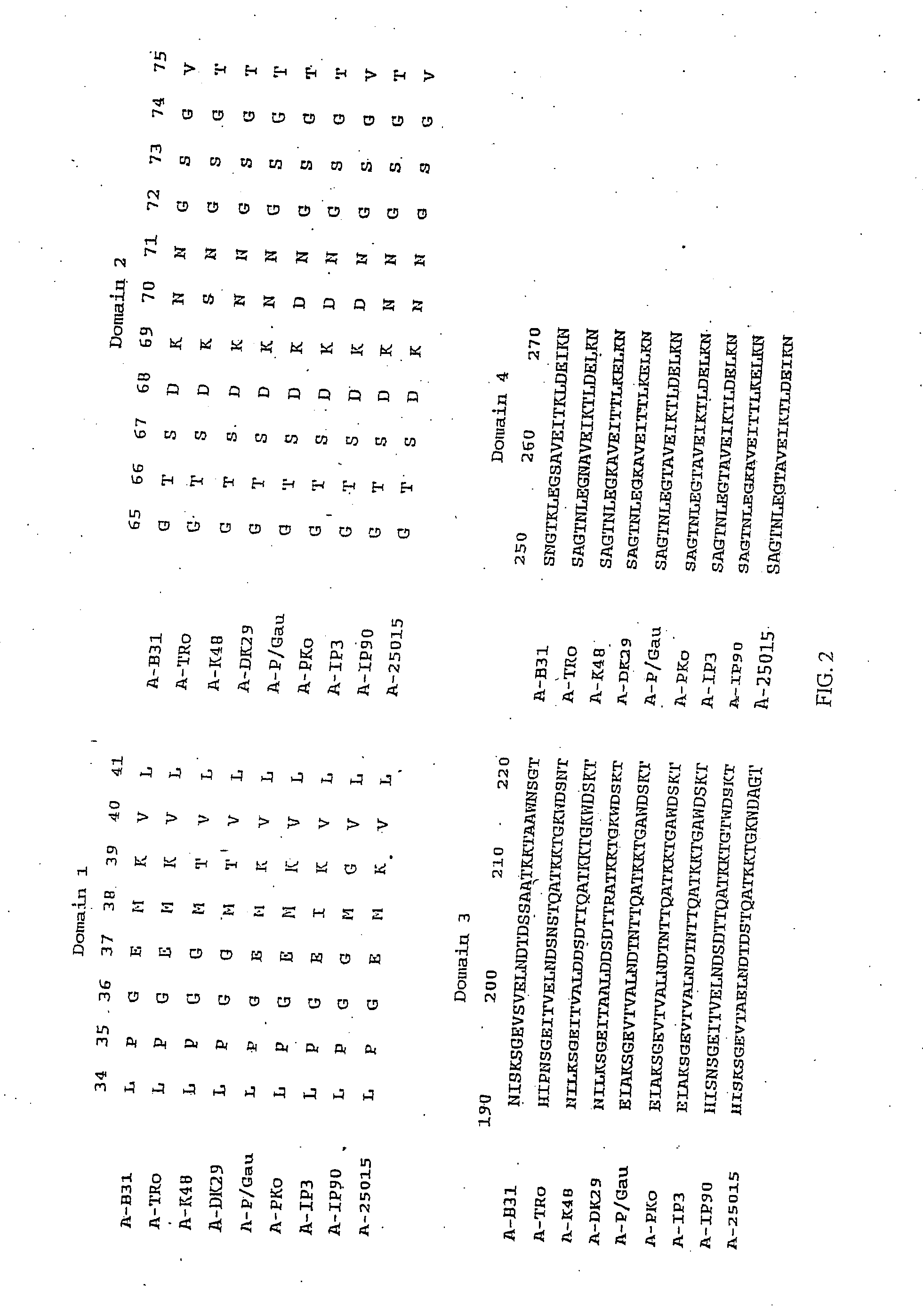 Recombinant constructs of Borrelia burgdorferi