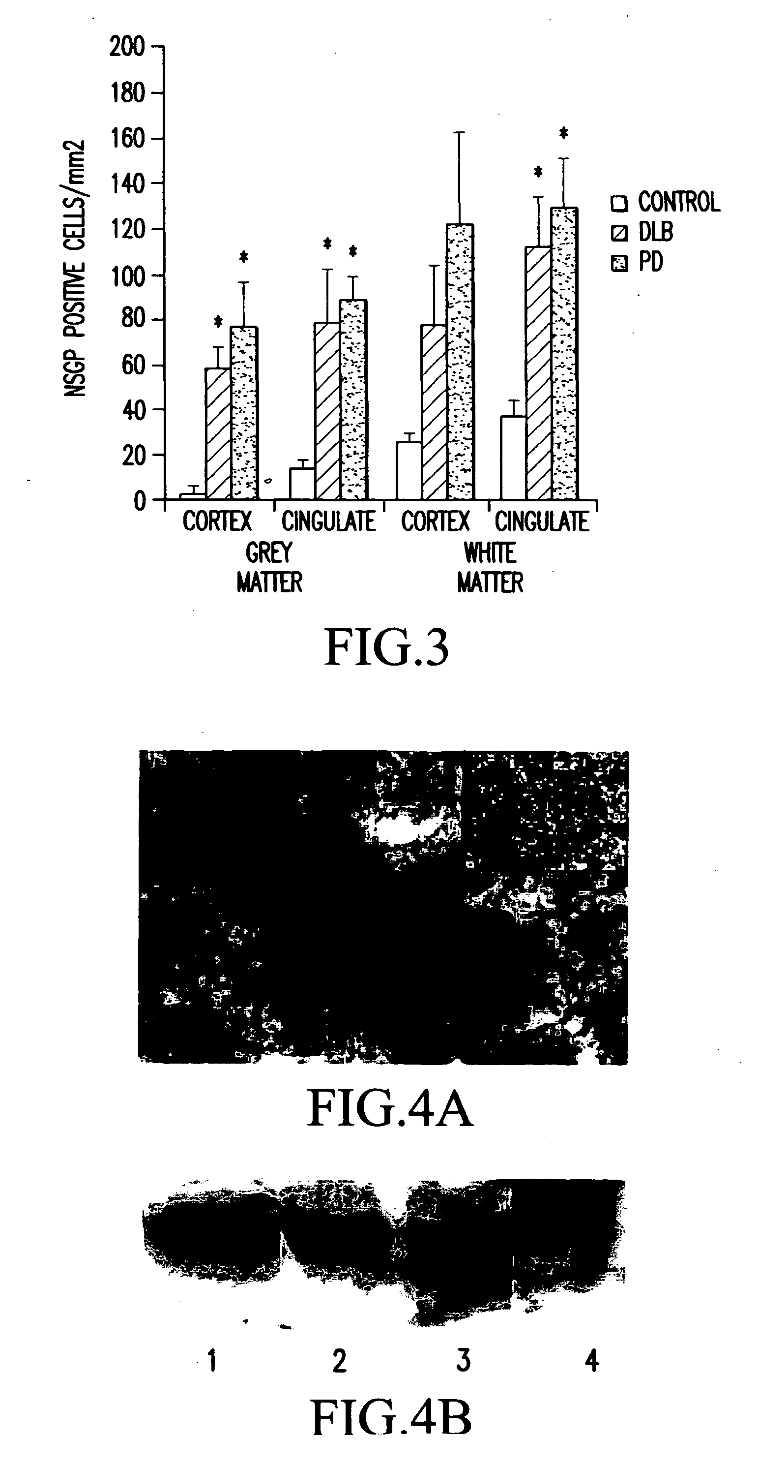 Methods for detecting oxidative stress