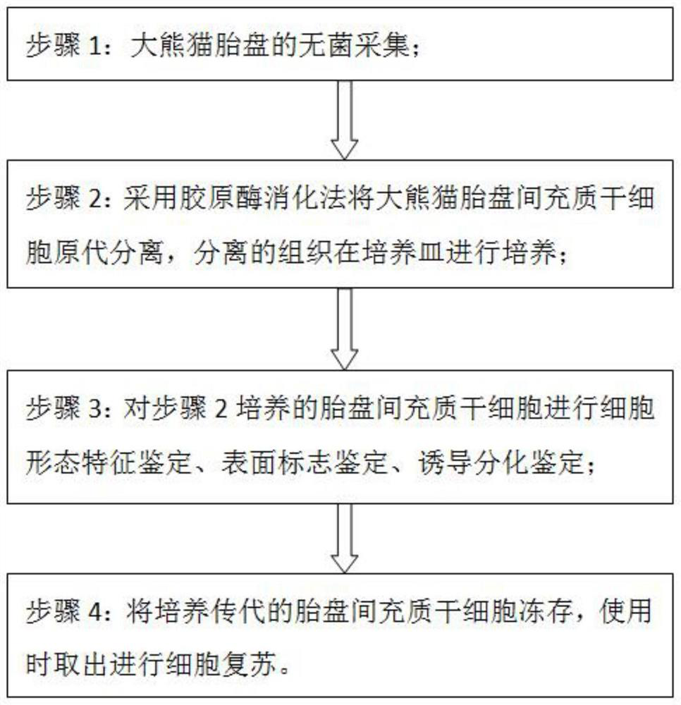 Panda placenta mesenchymal stem cell separation and culture method