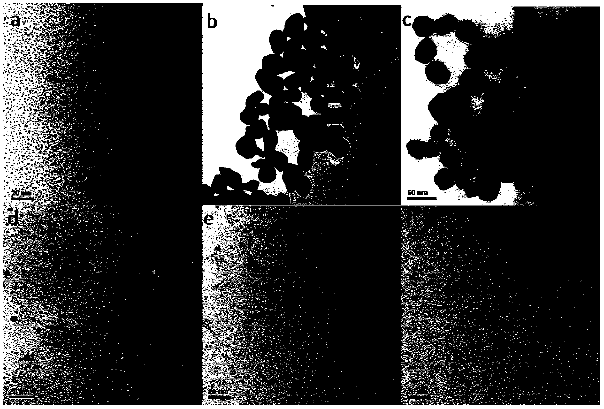 A kind of preparation method and application of carbon dot/gold composite nanoparticle