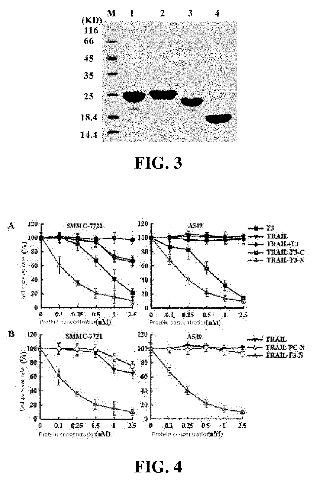 Tumor necrosis factor-related apoptosis-inducing ligand variant, as well as a preparation method and use thereof