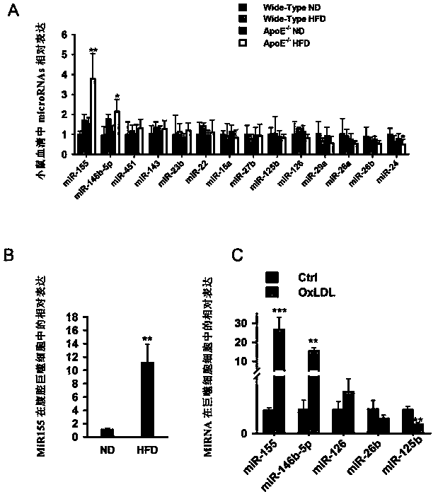 Method for preventing and treating atherosclerosis through inhibition of micro-RNA155
