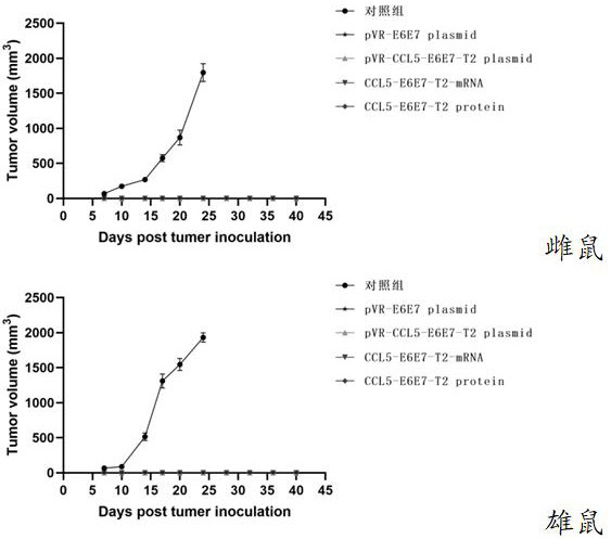 Application of CCL5