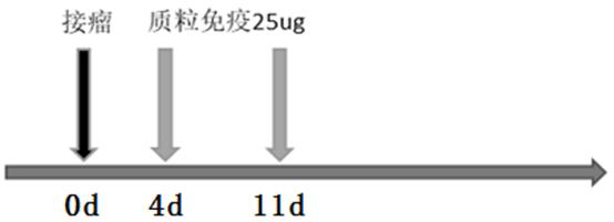 Application of CCL5