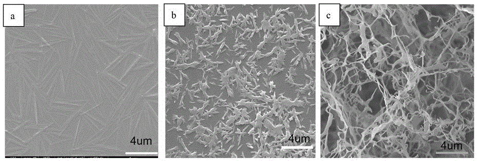 Rhein supramolecular hydrogel as well as preparation method and application thereof