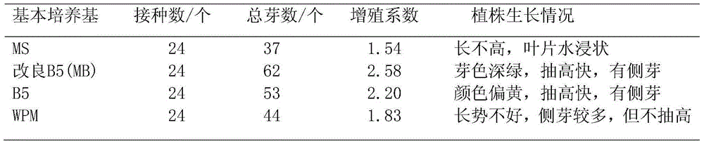 Proliferation culture medium and proliferation method for large-flower-like honeysuckle flower Yulei #1