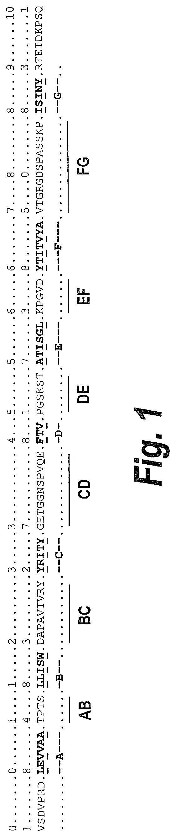 Fibronectin based scaffold proteins