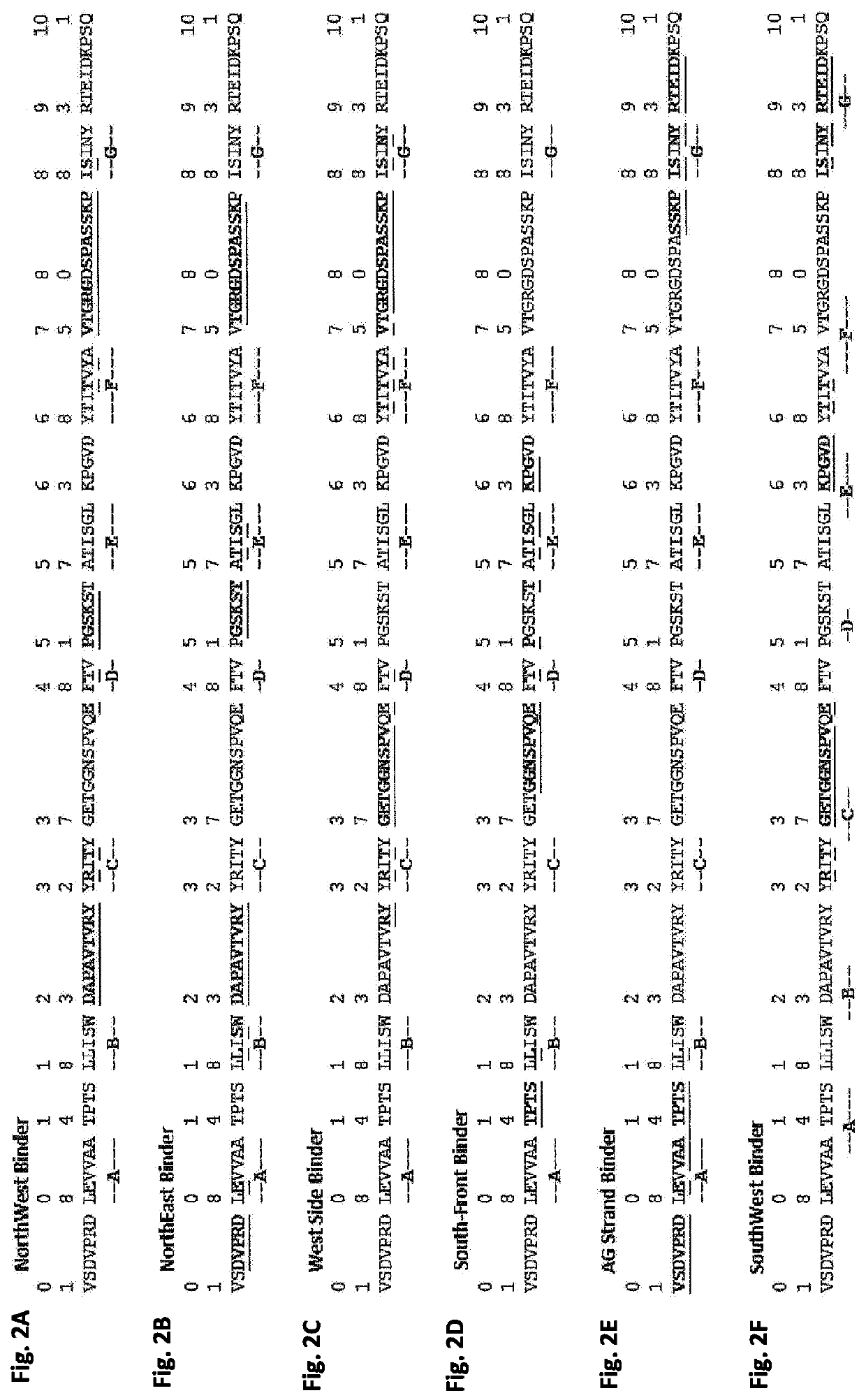 Fibronectin based scaffold proteins