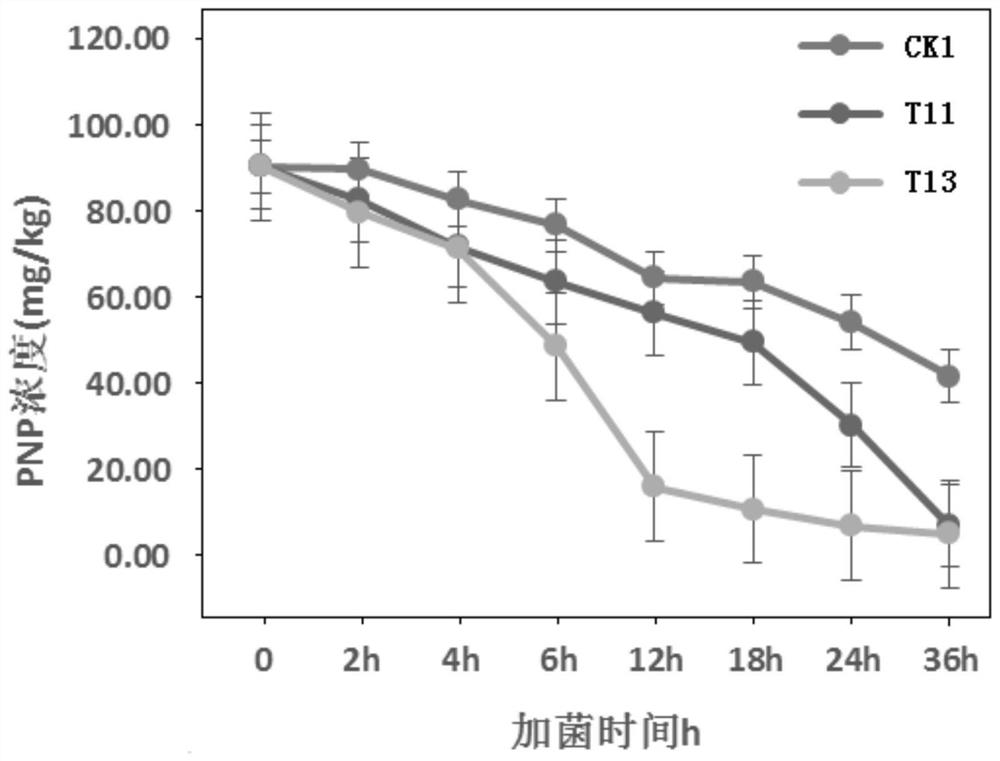 A kind of Pseudomonas monsonii and its application