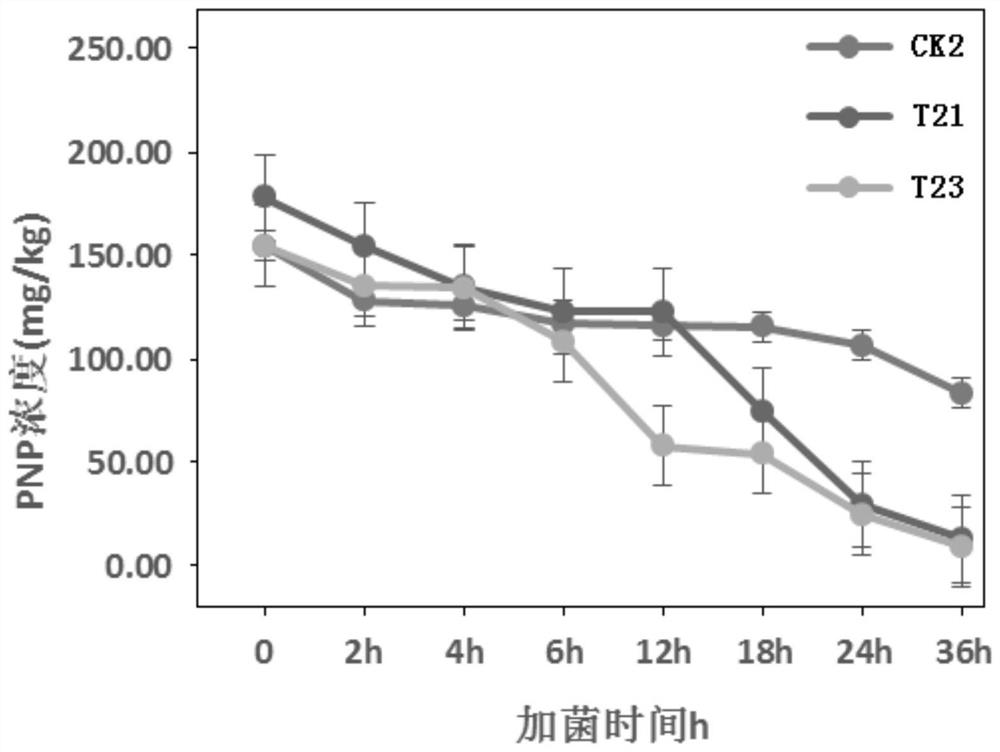 A kind of Pseudomonas monsonii and its application