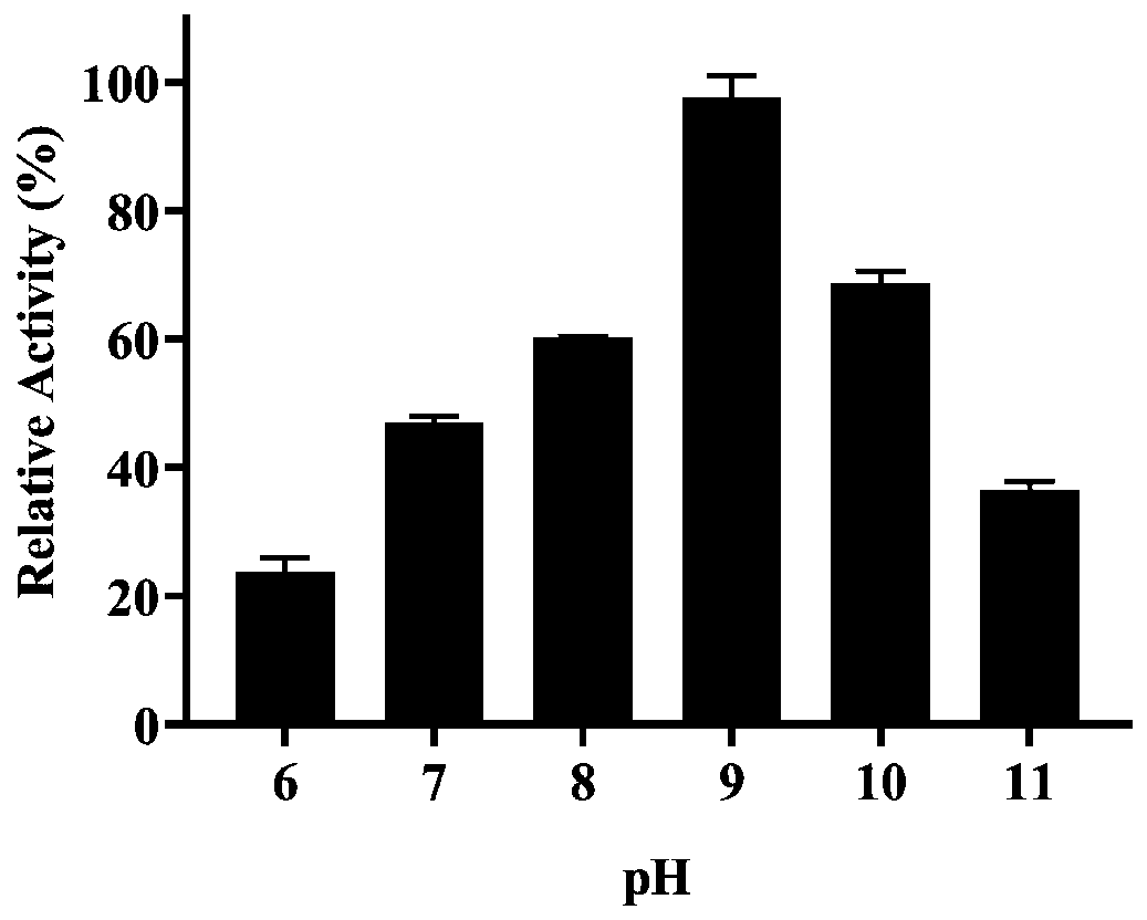 Vomitoxin degrading enzyme DDH and application of DDH in detoxification of Trichothecenes