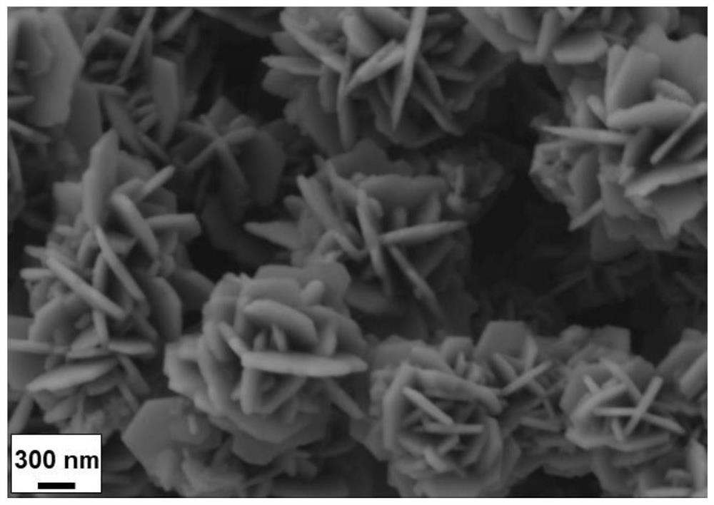 Preparation method and application of nickel-doped pyrrhotite FeS nanoparticles