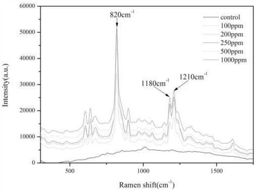 Rapid detection method for illegally added pioglitazone in health food