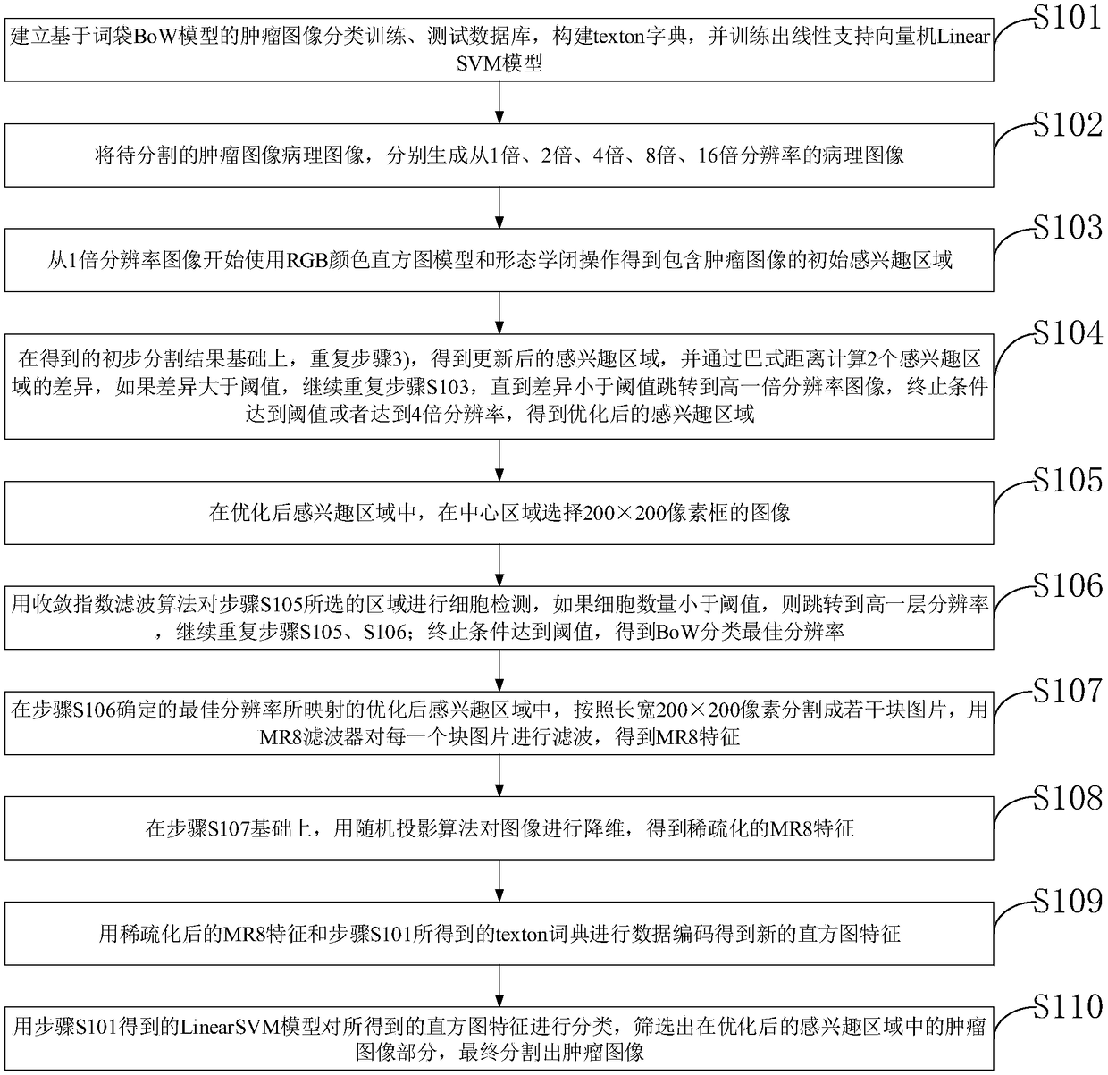 Renal carcinoma case digital information management system and method, and terminal