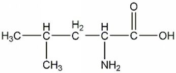 Amphiphilic oligopeptide structure substance