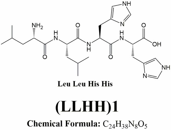 Amphiphilic oligopeptide structure substance