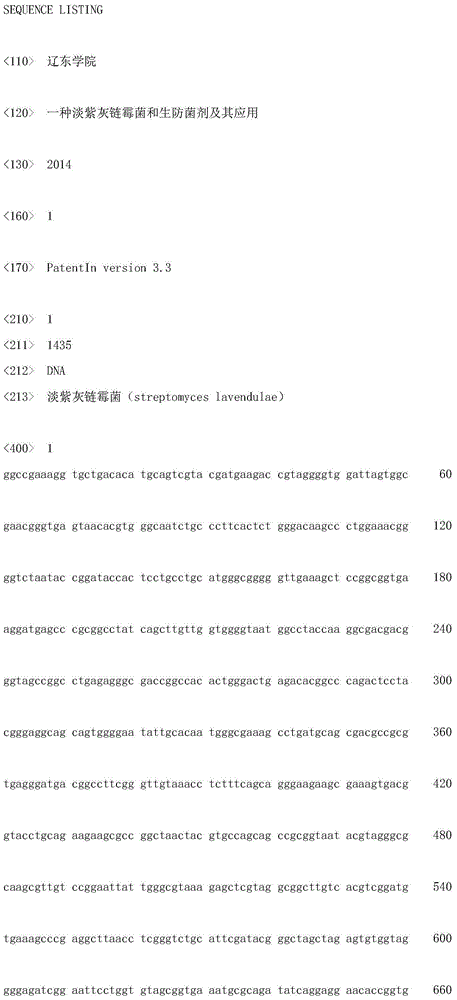 Streptomyces lavendulae and antibiological inoculant as well as application of antibiological inoculant