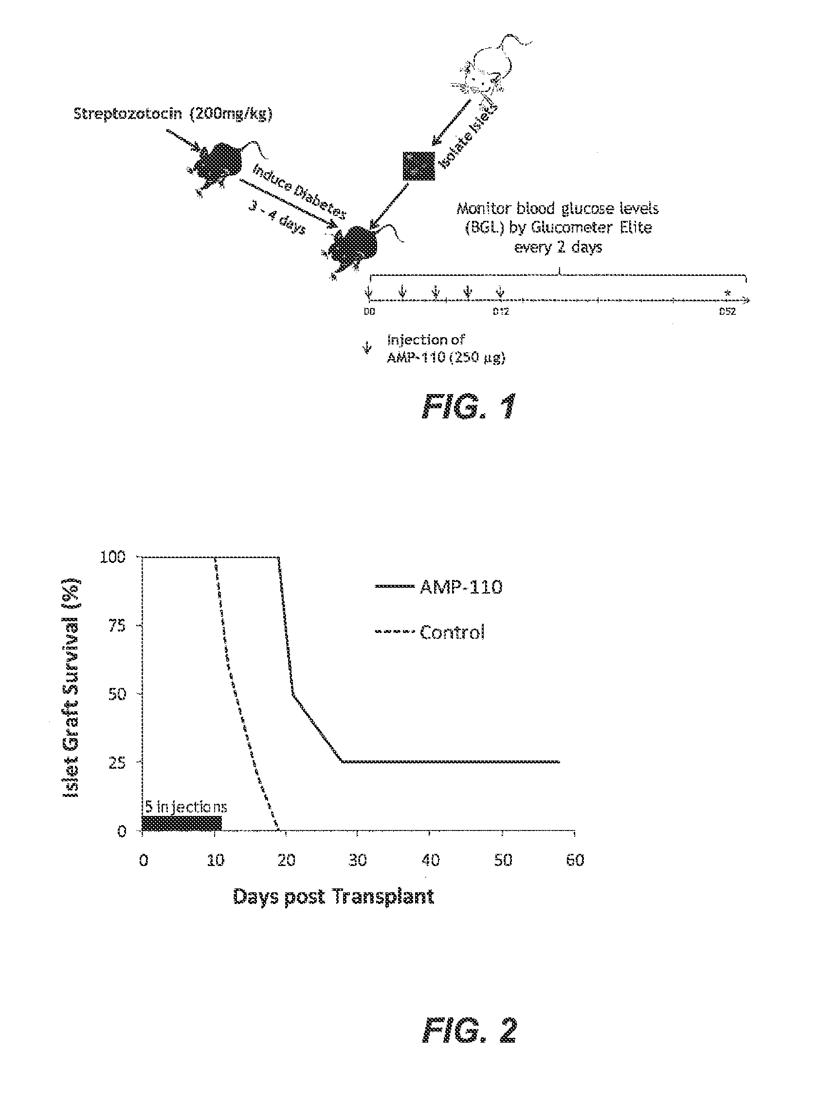 Methods and compositions for the inhibition of transplant rejection