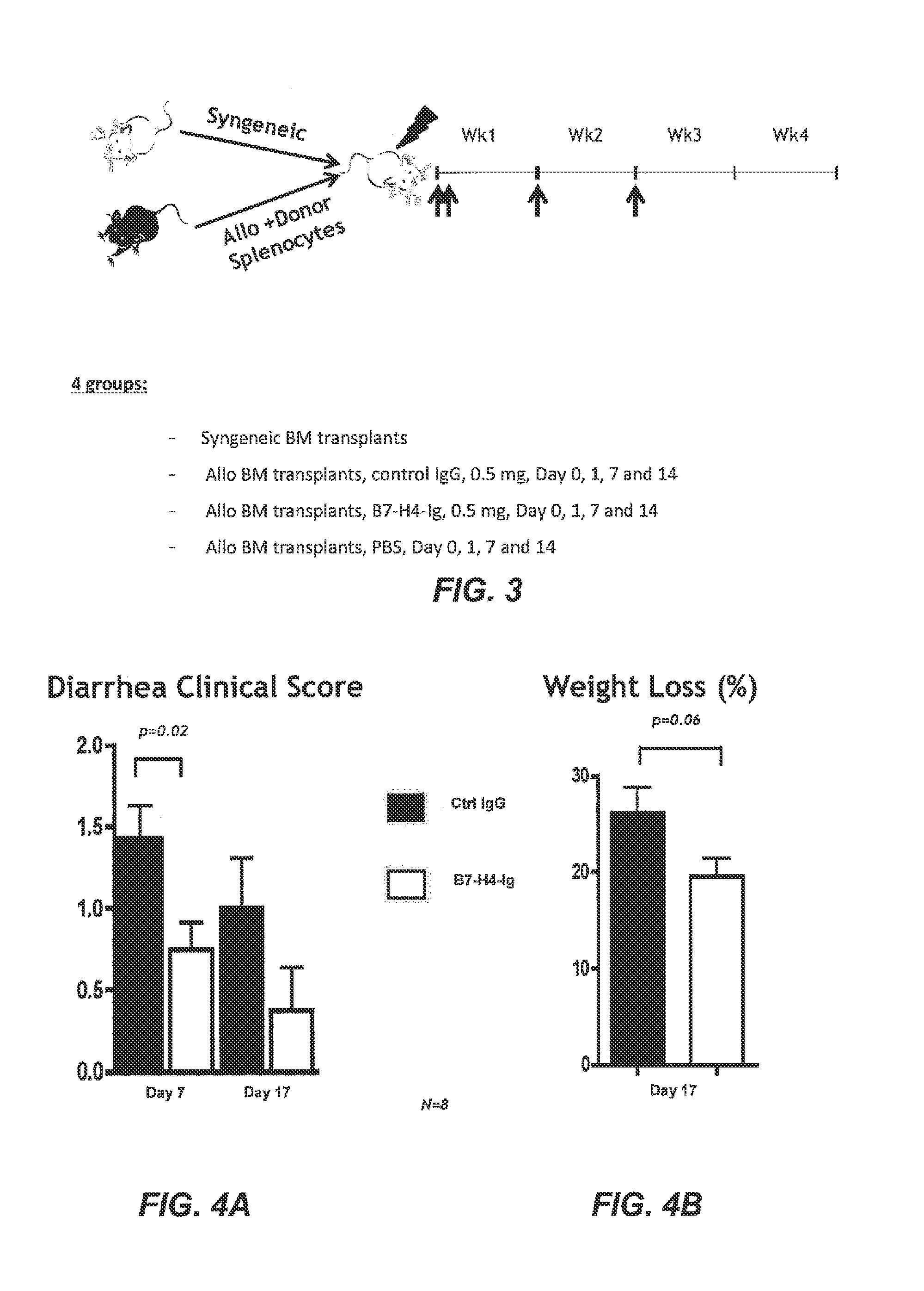 Methods and compositions for the inhibition of transplant rejection