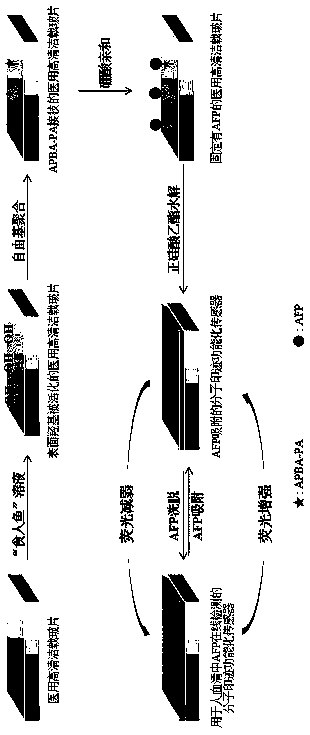 Preparation of molecular imprinting sensor for AFP online detection in human serum