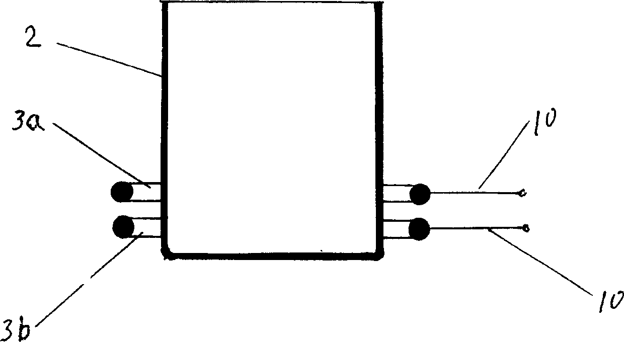 Electric cooker with electronic salinity measuring and displaying device