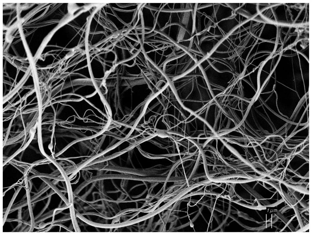 A preparation method of a three-dimensional fluffy porous scaffold