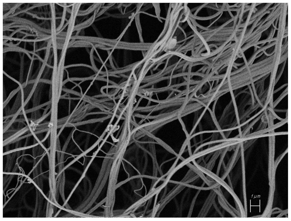 A preparation method of a three-dimensional fluffy porous scaffold