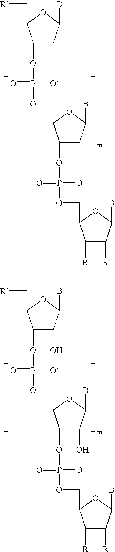 Water-soluble rhodamine dye conjugates