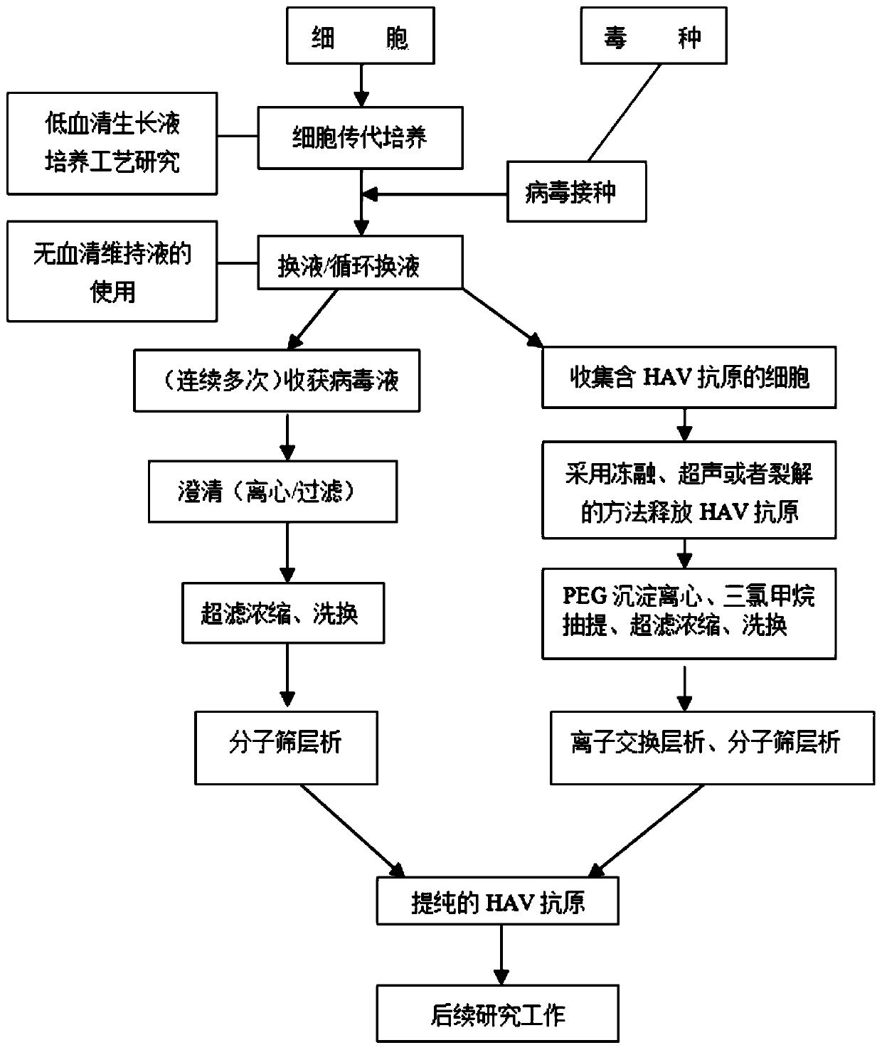 Novel preparation method for hepatitis A virus antigen