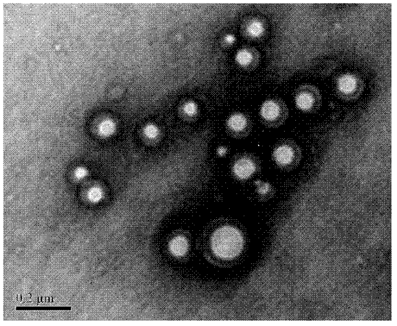 Hyperbranched star polylactic acid-poly(2-methacryloyloxyethyl phosphorylcholine) block polymer nanoparticle prepared by volatilization method and method