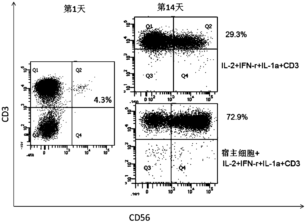 A method for expanding and activating cik lymphocytes