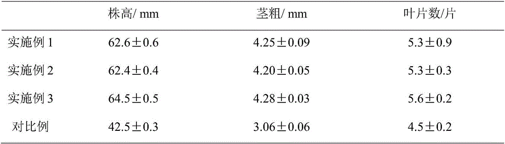 Selenium-enriched watermelon culture medium and preparation method thereof