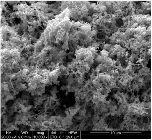 Modified iron-copper bimetallic nanoparticle and preparation method thereof