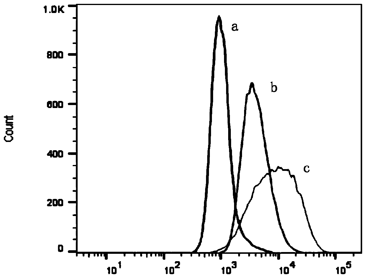 Lentivirus, recombinant mesenchymal stem cells and construction method and application of recombinant mesenchymal stem cells