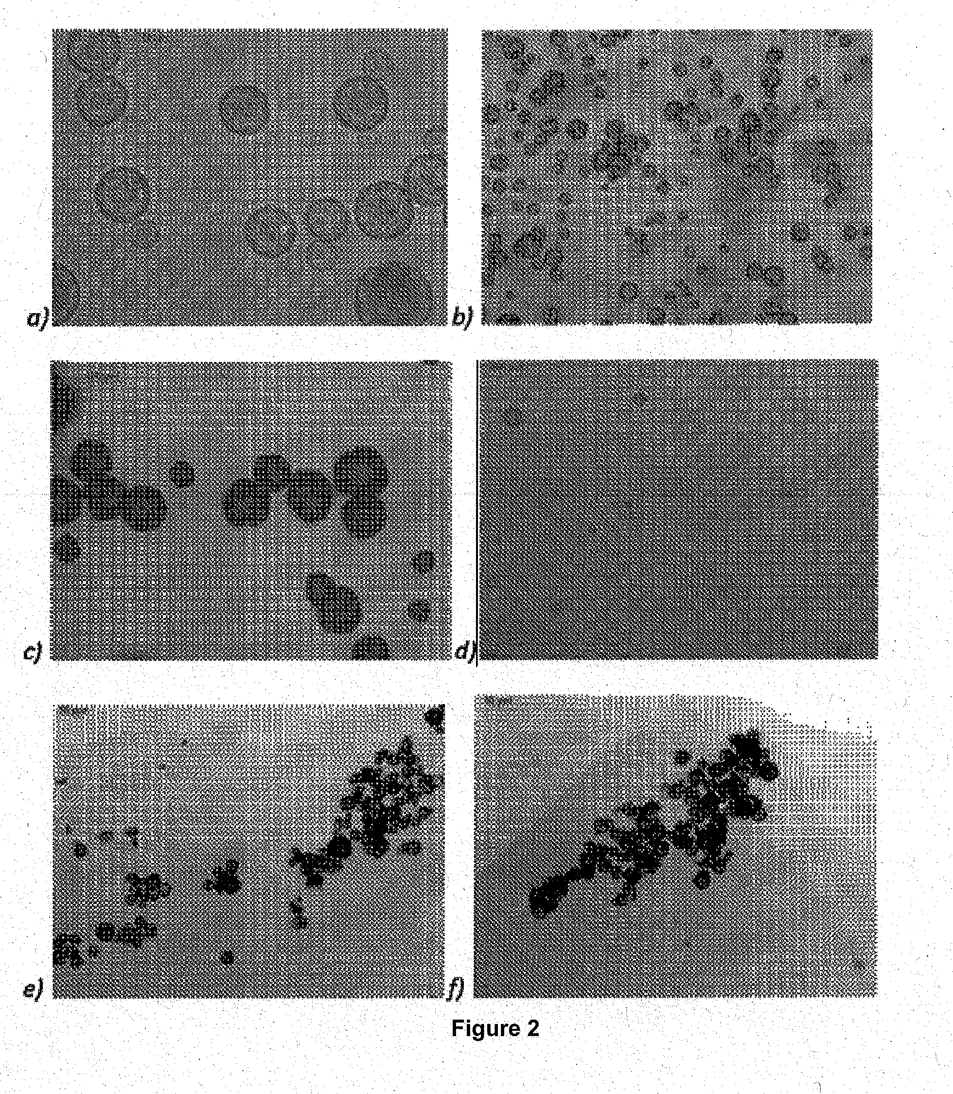 Coating with photochromic properties, method for producing said coating and use thereof applicable to optical articles and glazed surfaces