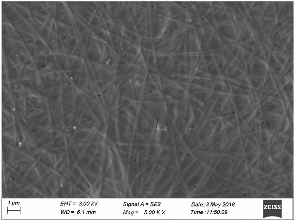 Tussah silk fibroin composite nanofiber for wound repair