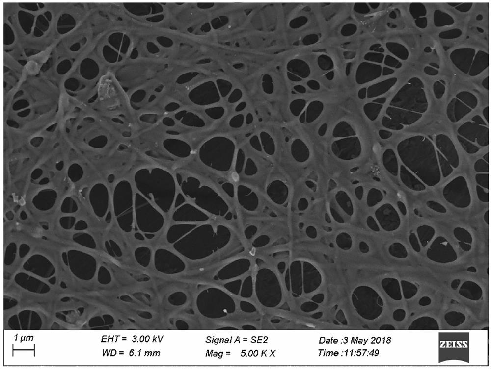 Tussah silk fibroin composite nanofiber for wound repair