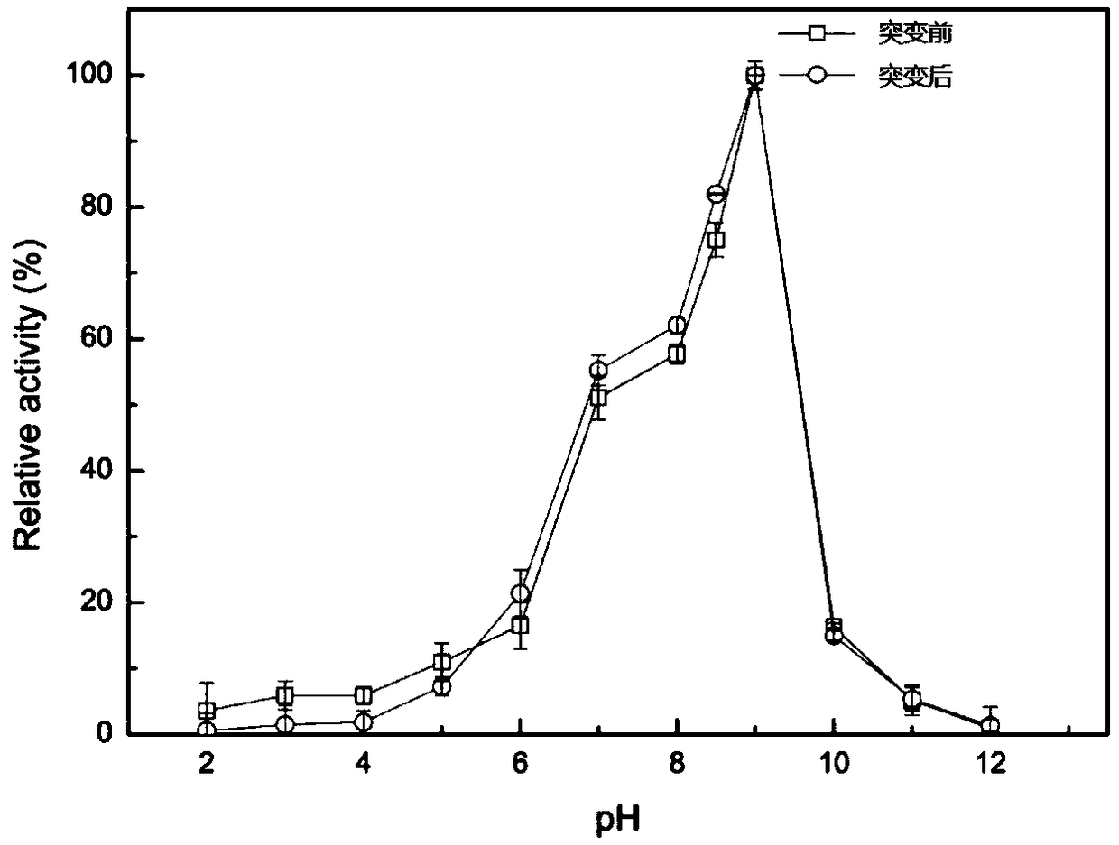 Lipase mutant with improved thermal stability and application of lipase mutant