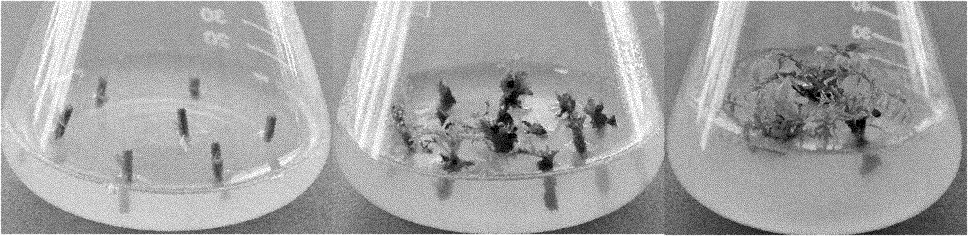 Method for quickly propagating pistacia chinensis bunge by using stem sections