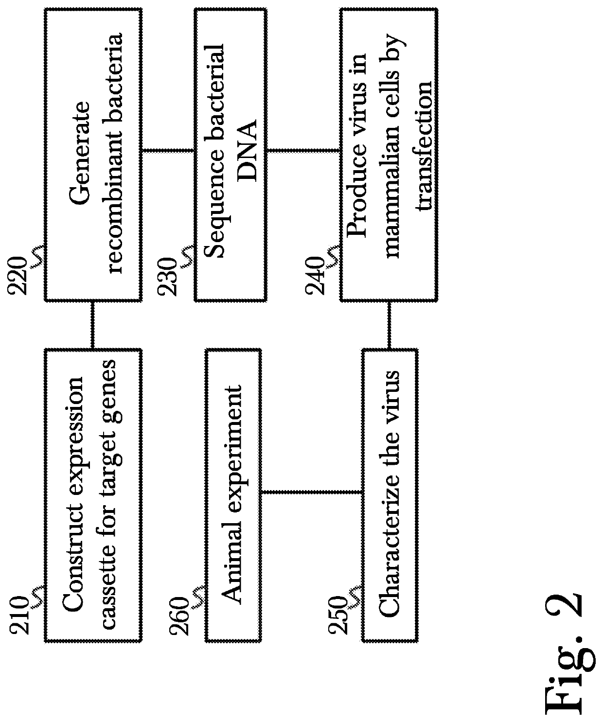 Novel method for gene therapy using intranasal administration of genetically modified viral vectors