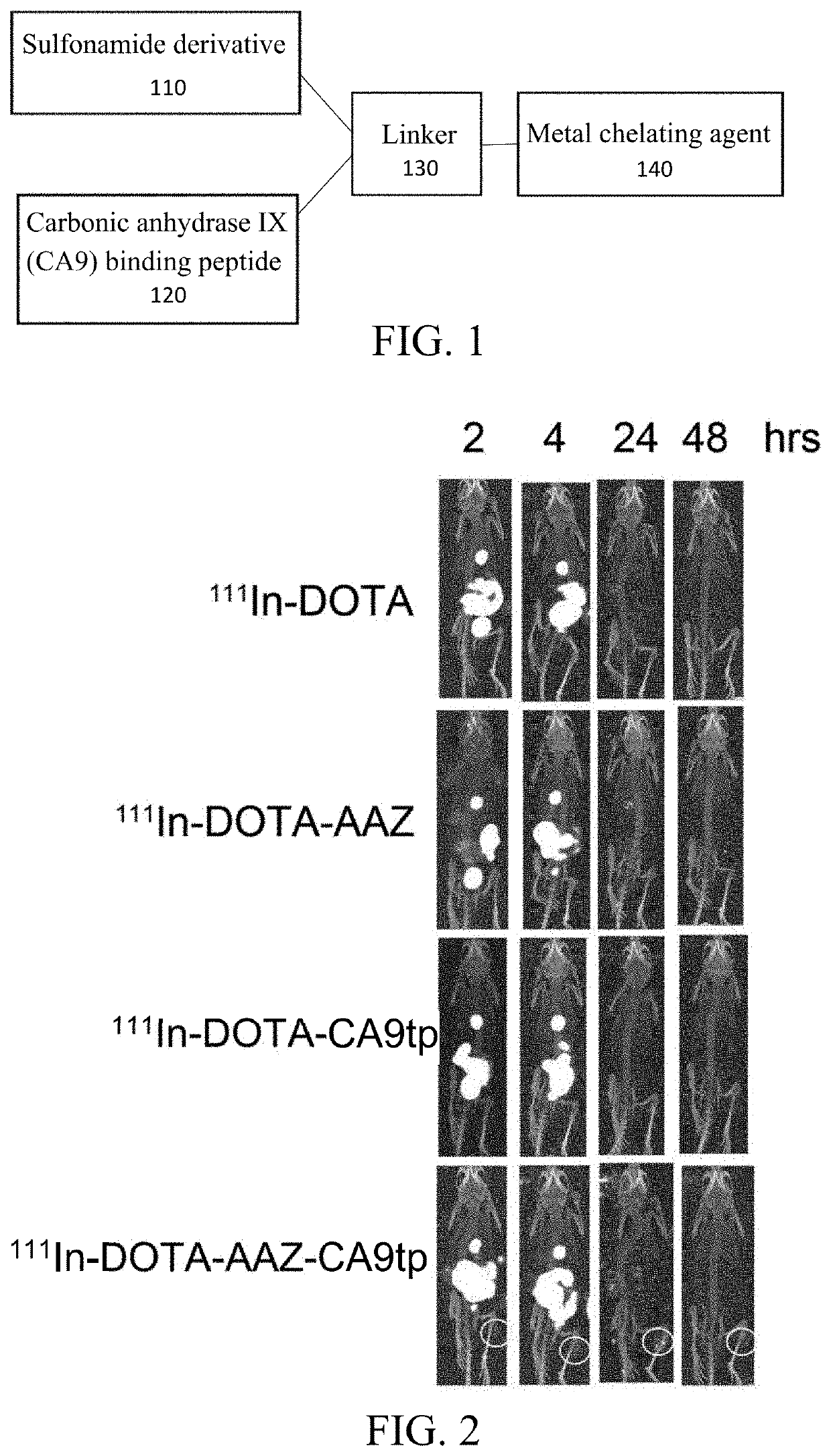 Dual-targeted carbonic anhydrase ix complex and contrast agent thereof