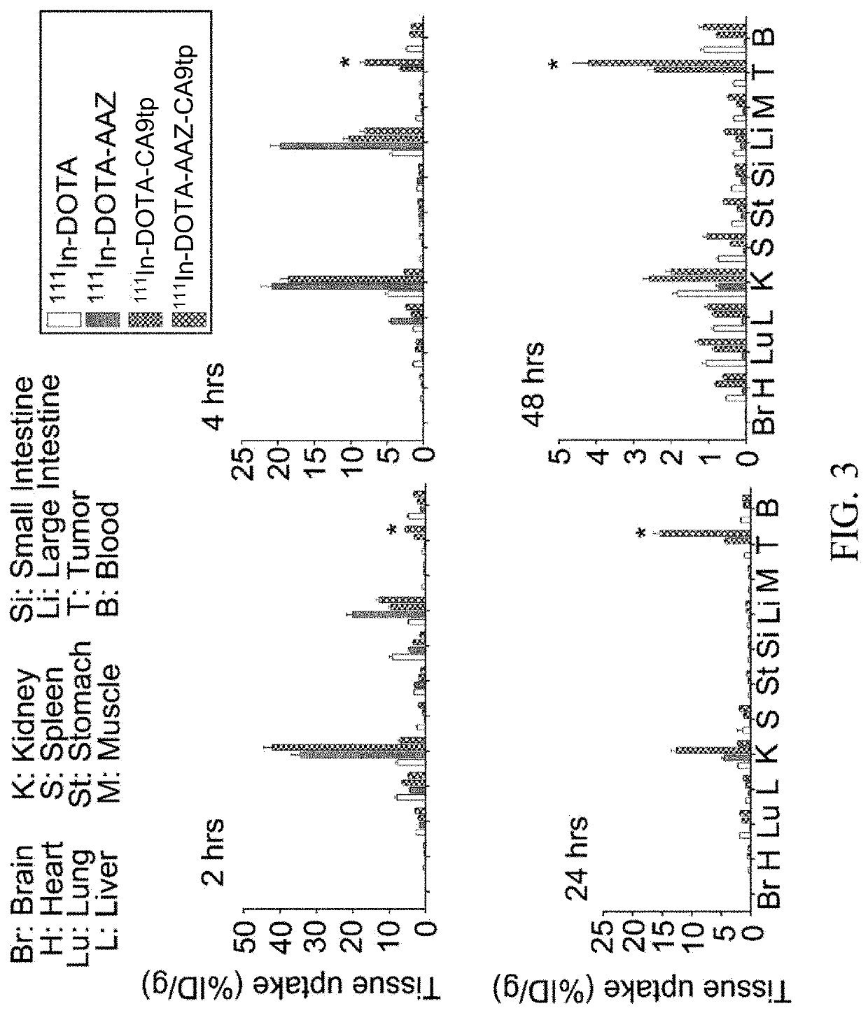 Dual-targeted carbonic anhydrase ix complex and contrast agent thereof