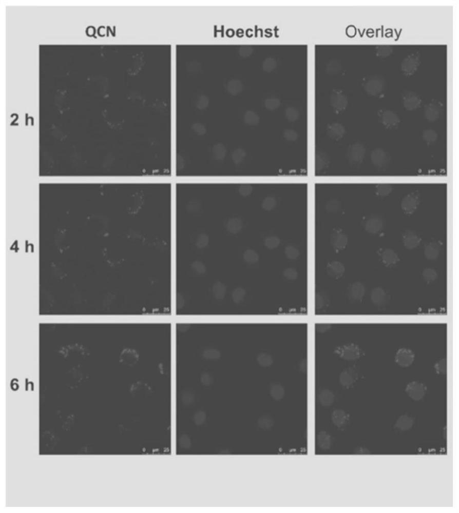 Aggregation-induced emission photosensitizer, preparation method and application